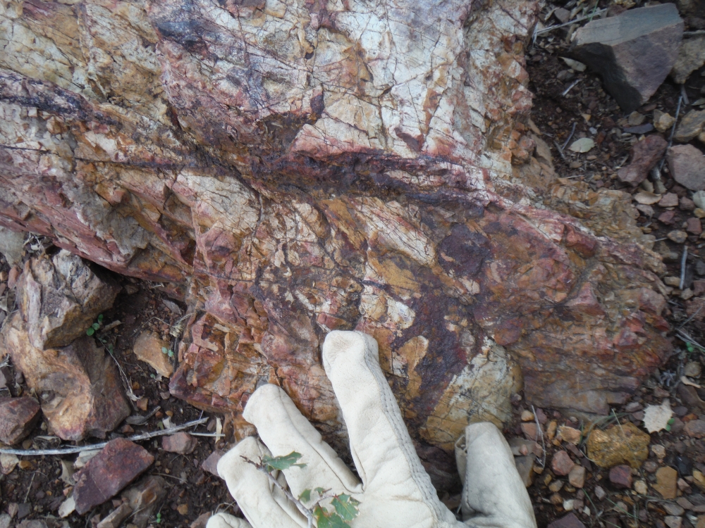 Photos of oxidized quartz-sulfide veins in Proterozoic Apache Group sediments. Alteration extends for ~2.5 km along strike and projects down-dip towards the porphyry and skarn targets